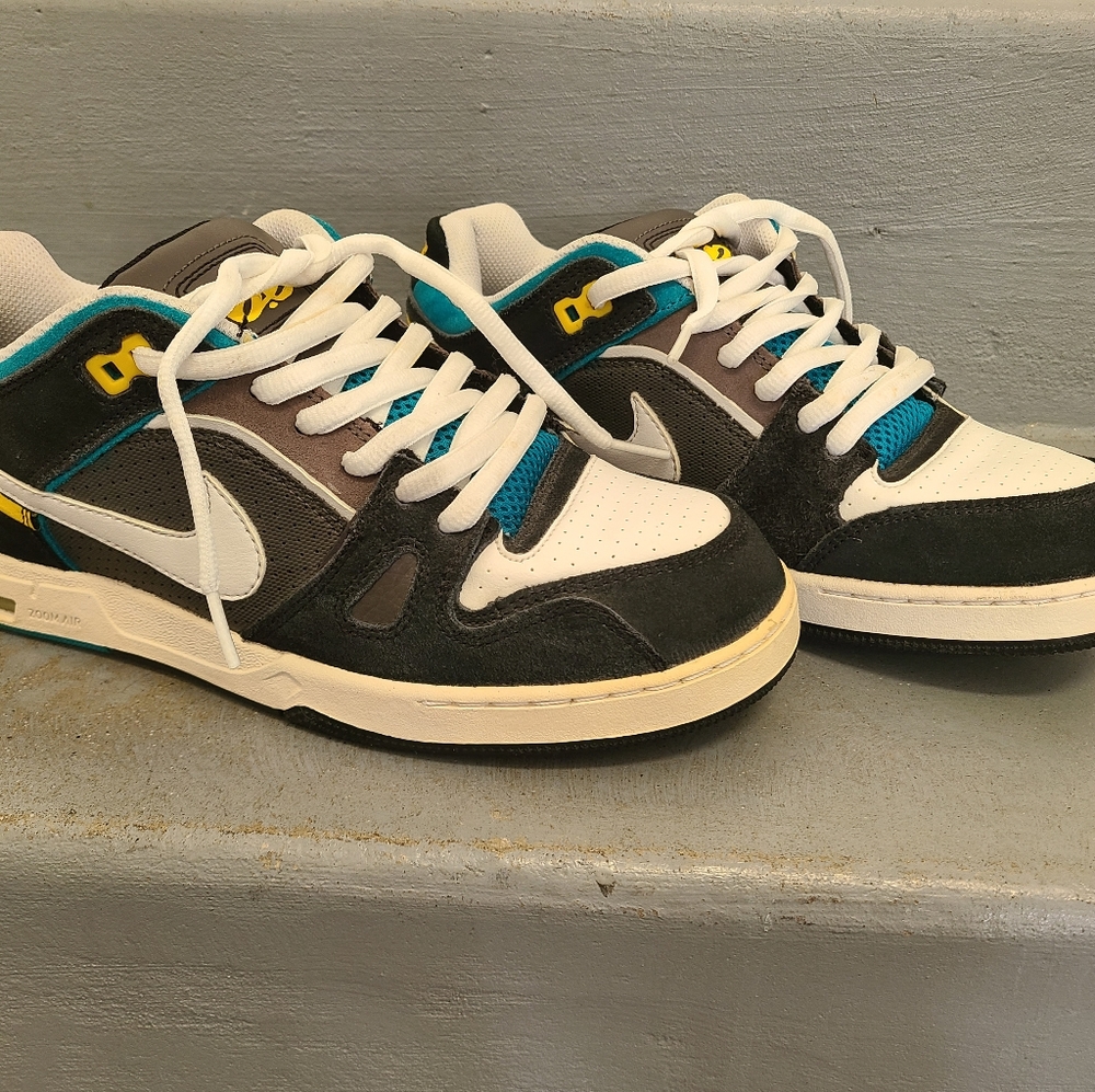 Nike Dunk Low 6.0